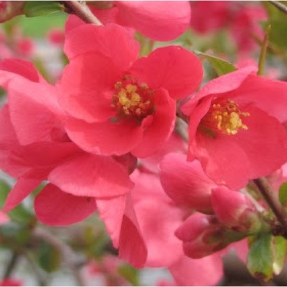 FENDI *RARE* sensuous mohair cashmere sweater - Picture 6 of 16